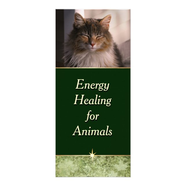 Tarjeta Publicitaria Energía que cura para los animales (Frente)