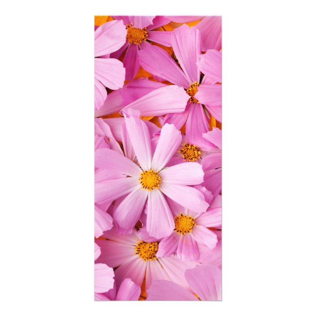 Tarjeta Publicitaria Flores Rosadas (Frente)