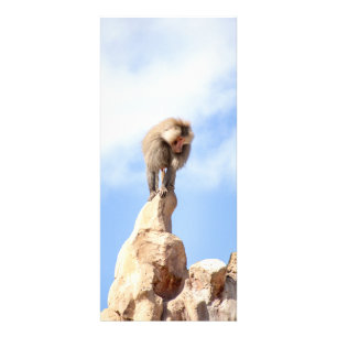 Tarjeta Publicitaria Mandrill en la cima de una montaña