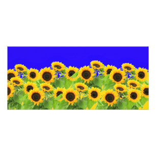 Tarjeta Publicitaria Sunflowers - Ucrania, bandera ucraniana, Libertad