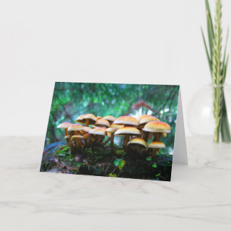 Tarjeta pueblo de hongos