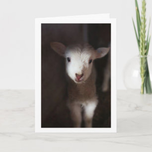 TARJETA PUEDE SER UN BEBÉ PERO PUEDO DECIR **MEROSOS NAVID