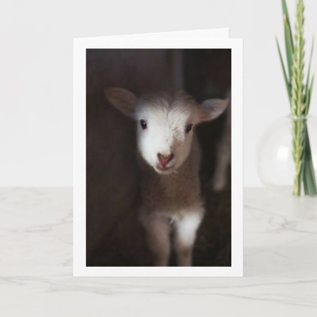 TARJETA PUEDE SER UN BEBÉ PERO PUEDO DECIR **MEROSOS NAVID (Anverso)