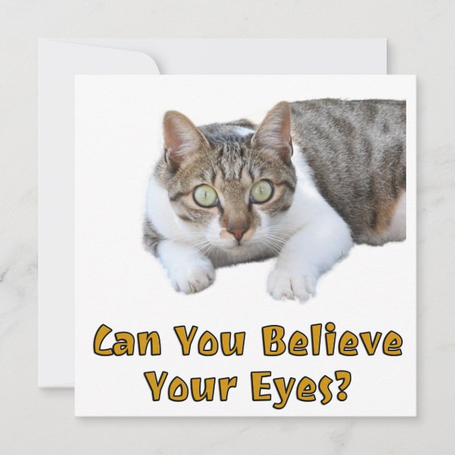 Tarjeta ¿Puedes creer que tus ojos adoran el arte del gato (Anverso)