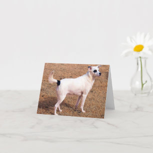 Tarjeta ¡Puedes Hacer Esto! - Stand Tall