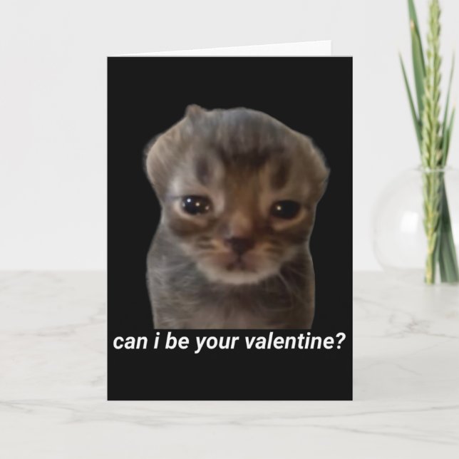 Tarjeta ¿Puedo ser tu San Valentín Meme de gato divertido  (Anverso)