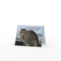 Puente arco iris - Compasión por el poema gatos