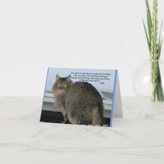 Tarjeta Puente Arcoíris - Poema de simpatía para gatos