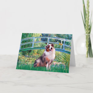 Tarjeta Puente Aussie Shep 1