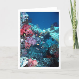 Tarjeta Puente coralino, filón del arco iris, Fiji