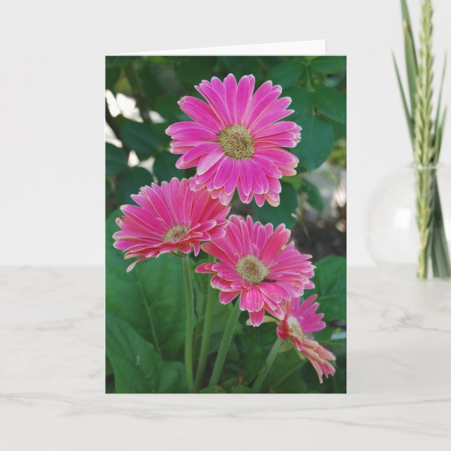Tarjeta Puente de flores - Daisies notecard (Anverso)