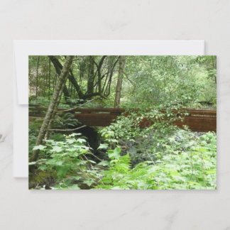 Tarjeta Puente Muir Woods I