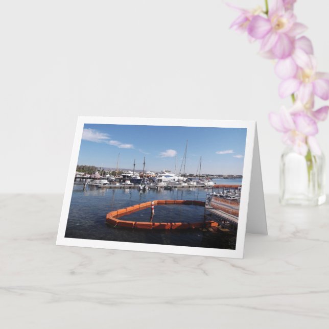 Tarjeta Puerto de barcos en Pafos, Chipre (Orquídea)