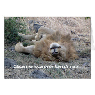 Tarjeta "puesta" de león (Masai Mara)