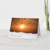 puesta de sol brilla con gaviotas para la simpatía