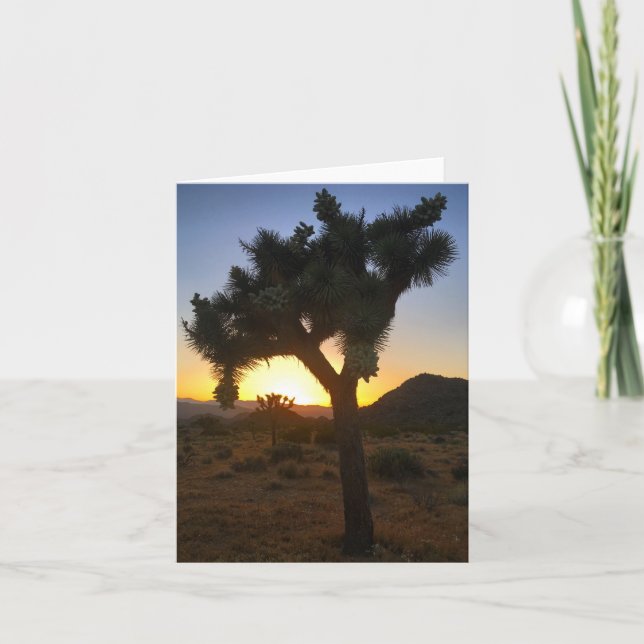 Tarjeta puesta de sol de un árbol de joshua #3 notecard (Anverso)