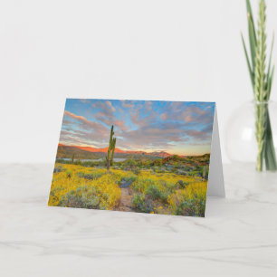 Tarjeta Puesta de sol en paisaje desértico