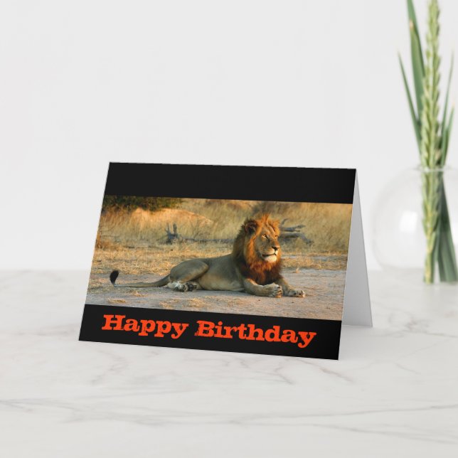 Tarjeta Puesta del sol del león del feliz cumpleaños (Anverso)