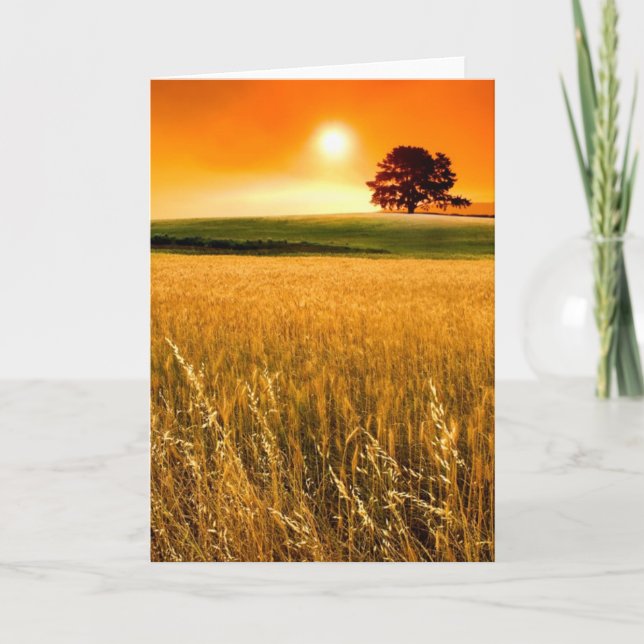 Tarjeta Puesta del sol roja sangre (Anverso)