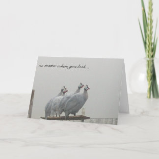 Tarjeta Puestos de observación de Guinea