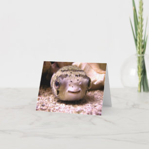 Tarjeta Pufferfish del Blowfish de Helaine