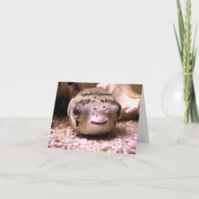 Tarjeta Pufferfish del Blowfish de Helaine (Anverso)