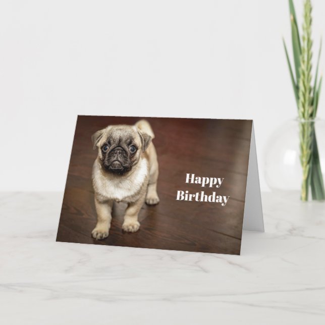 Tarjeta Pug Brown Dog Photo Birthday (Anverso)