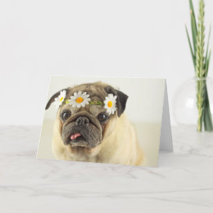 Tarjeta Pug con la corona de margarita