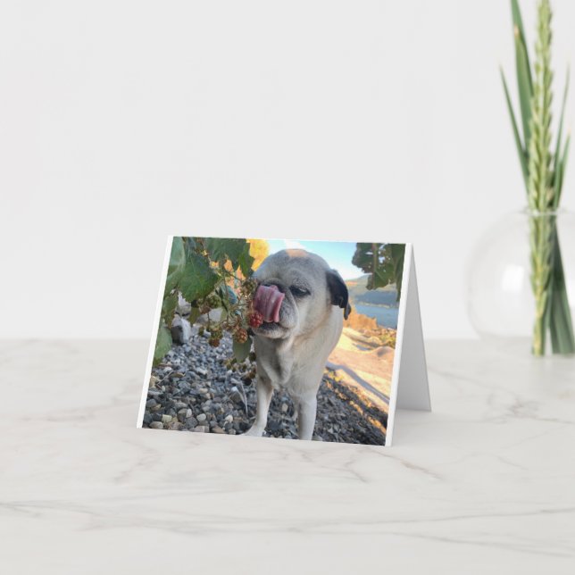 Tarjeta Pug cumpleaños divertido (Anverso)