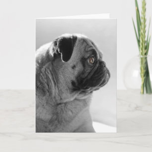 Tarjeta Pug en perfil