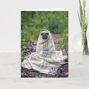 Tarjeta Pug en una manta