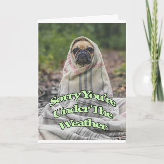 Tarjeta Pug Get Well Card