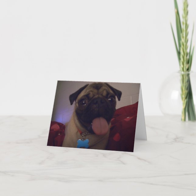 Tarjeta Pug greetingcard Machi (Anverso)