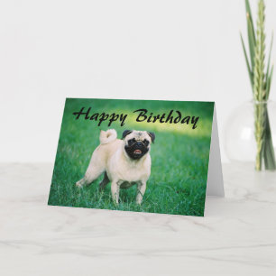Tarjeta Pug Happy Birday