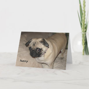 Tarjeta Pug - Lo siento