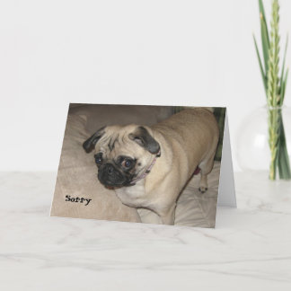 Tarjeta Pug - Lo siento