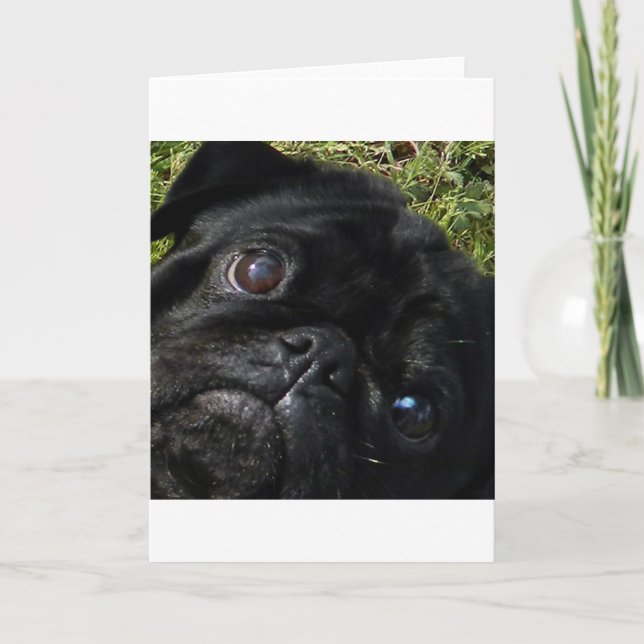 Tarjeta pug ojos negros pug (Anverso)