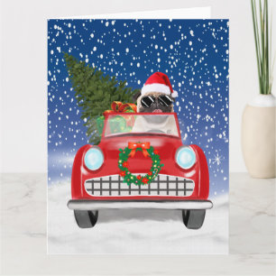 Tarjeta Pug Perro Conduciendo Coche En Navidad Nieve