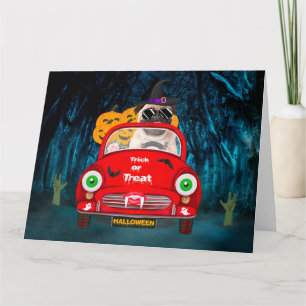 Tarjeta Pug Perro Conduciendo Coche Espeluznante Halloween