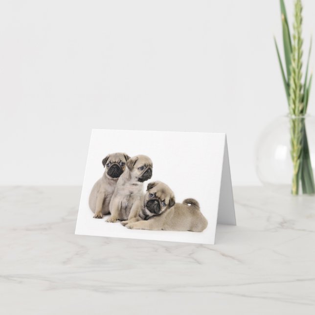 Tarjeta Pug Puppy Card (Anverso)