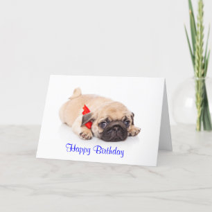 Tarjeta Pug Puppy Dog Happy Birday Card - Verso adentro