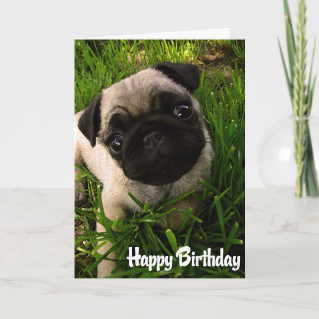 Tarjeta Pug Puppy Dog Happy Birday Card - Verso adentro (Anverso)