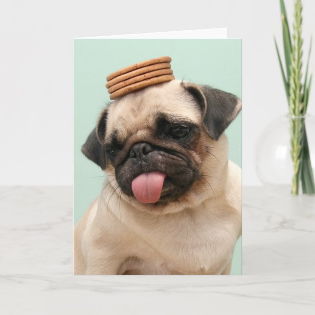 Tarjeta Pug quiere tratamientos (Anverso)
