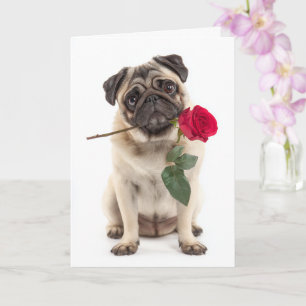 Tarjeta Pug Valentine