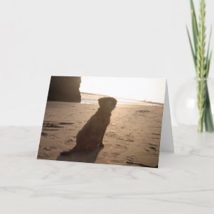Tarjeta puggle de la puesta del sol