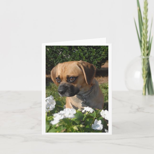 Tarjeta Puggles (Anverso)