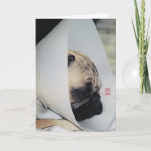 Tarjeta Puggy Get Well Greet Card