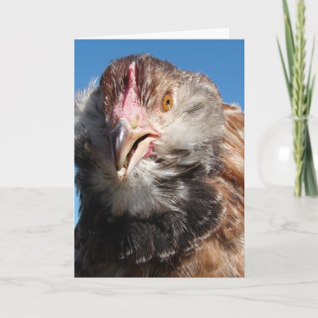 Tarjeta Pullet de Salmon Faverolle, cumpleaños (Anverso)