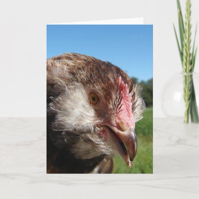 Tarjeta Pullet Salmon Faverolle (Anverso)