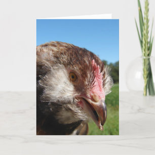 Tarjeta Pullet Salmon Faverolle